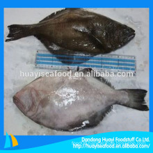 Arrow tooth flounder/plaice fish new